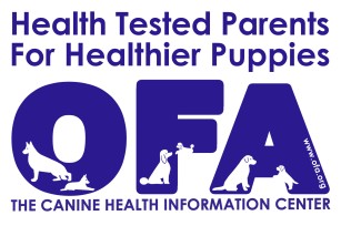 Nusa22 Blackwater Shorthairs Official Kennel Emblem
